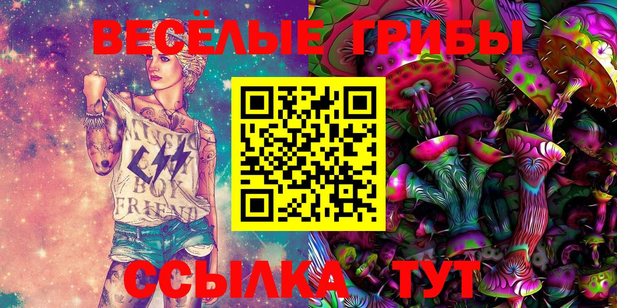 Псилоцибиновые грибы прущие грибы Конаково